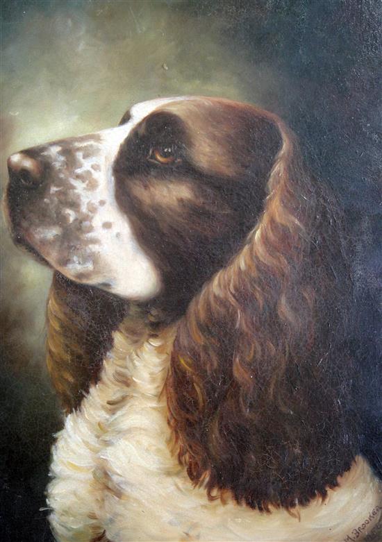 M. Brooker Portrait of a spaniel, 14.5 x 10.25in., unframed